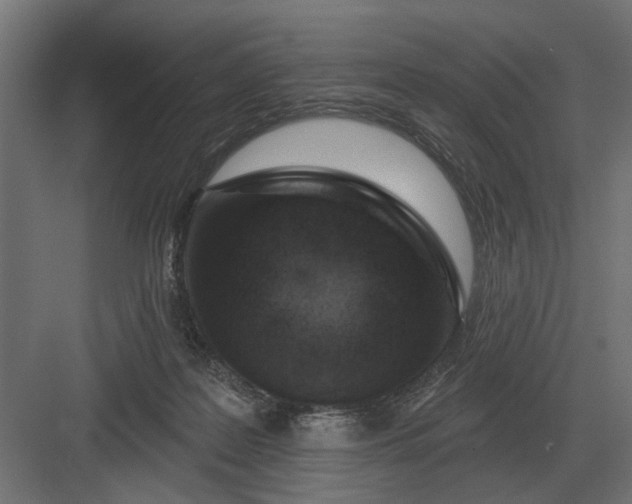 X0000082930219200702152156