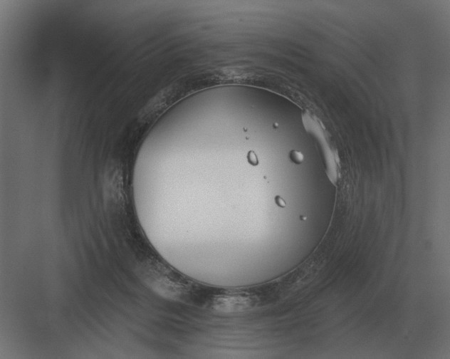 X0000082930220200702152156