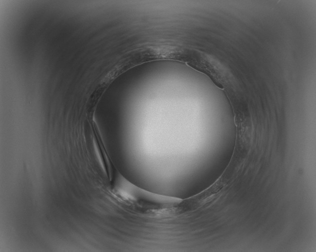 X0000082930221200702152156