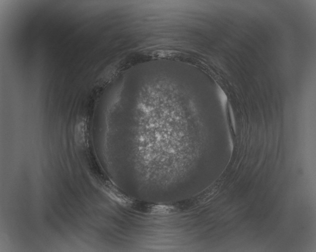 X0000082930222200702152156