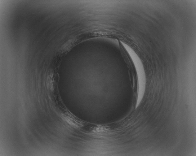 X0000082930223200702152156