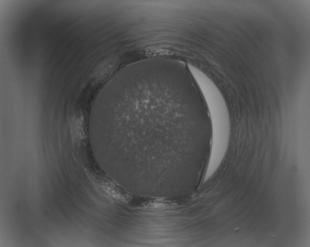 X0000082930224200702152156