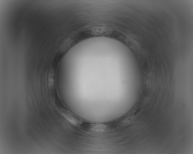 X0000082930226200702152156