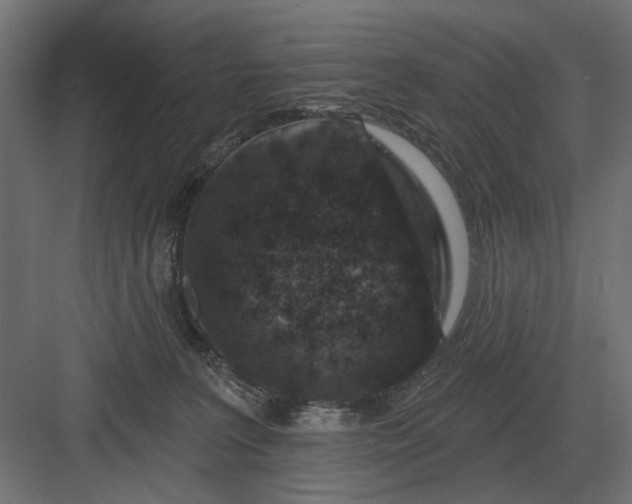 X0000082930227200702152155