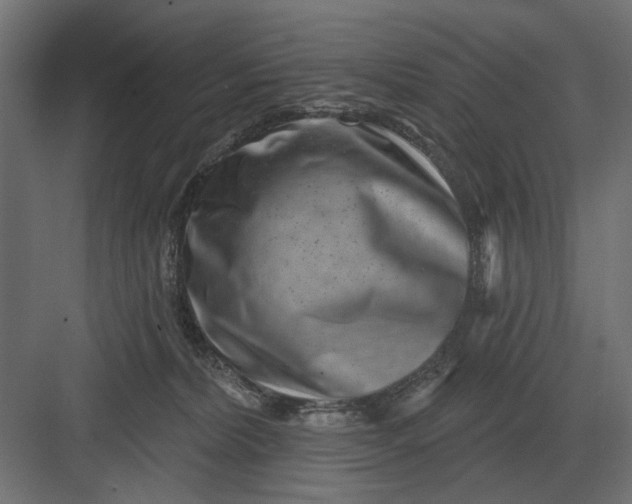 X0000082930228200702152155