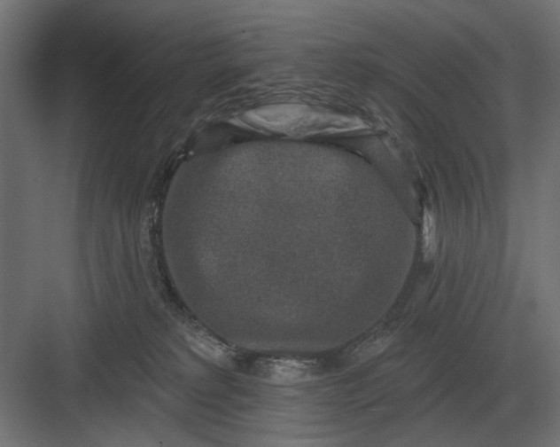 X0000082930229200702152155