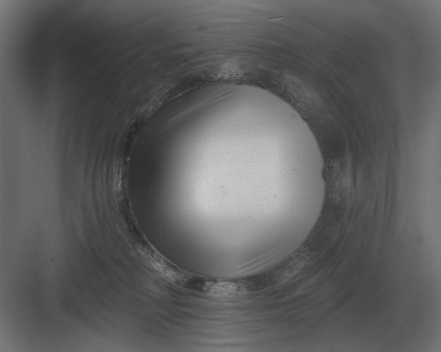 X0000082930230200702152155