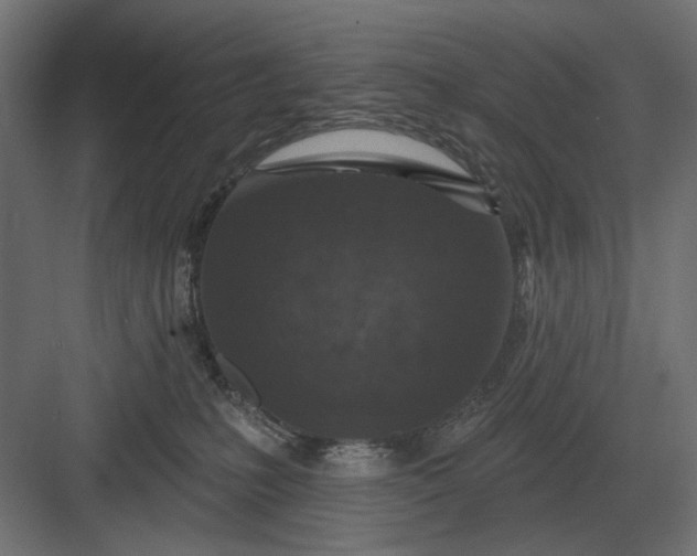 X0000082930231200702152155