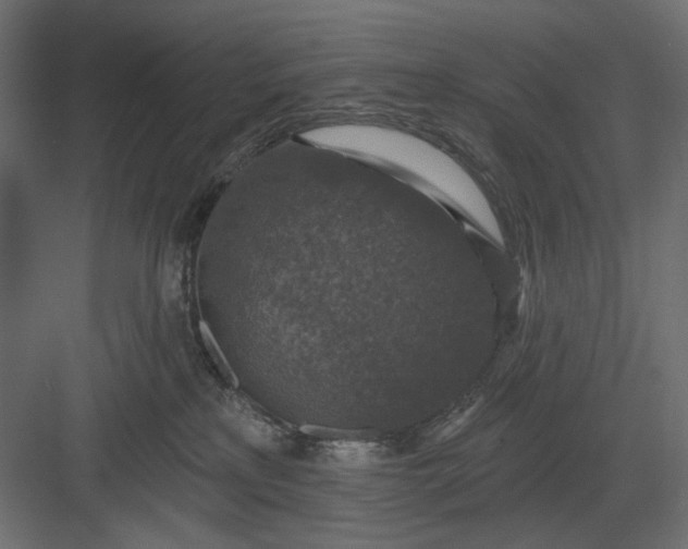 X0000082930233200702152155