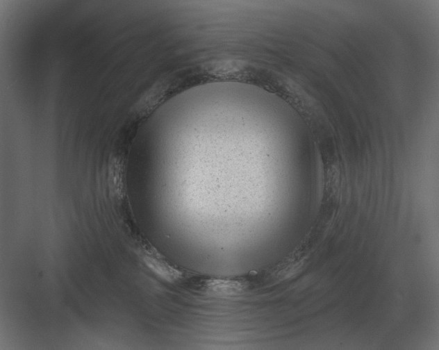 X0000082930234200702152155