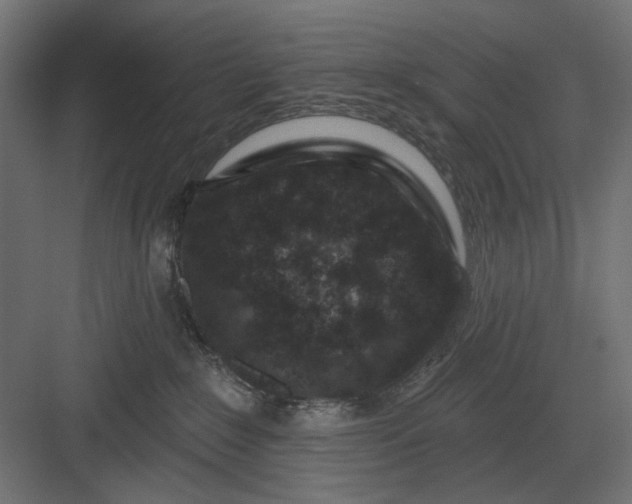 X0000082930235200702152155