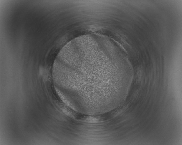 X0000082930236200702152155