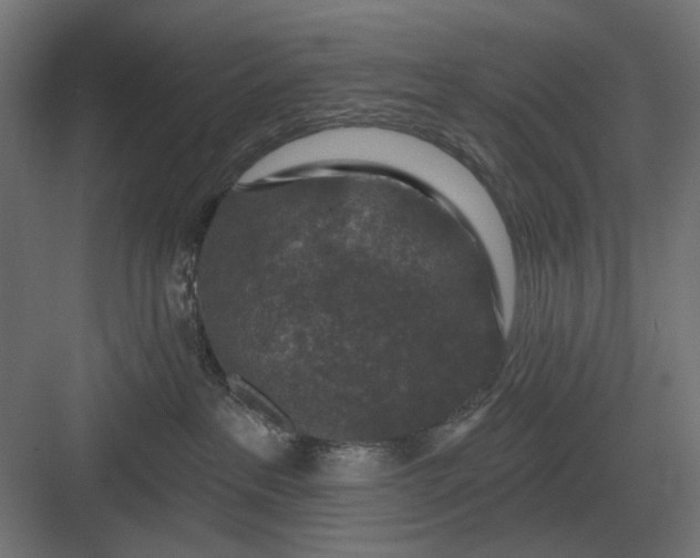 X0000082930237200702152155