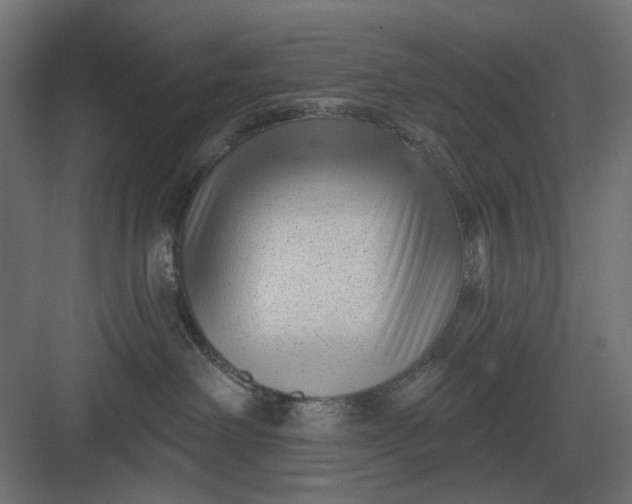 X0000082930238200702152155