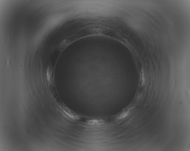 X0000082930239200702152155