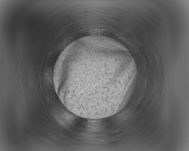 X0000082930240200702152155