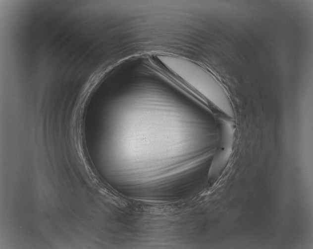 X0000082930241200702152154