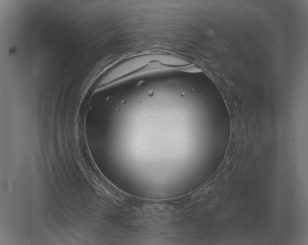 X0000082930242200702152154