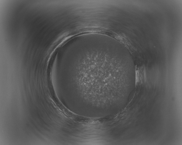 X0000082930243200702152154