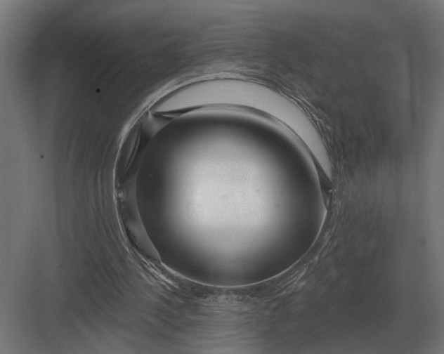 X0000082930244200702152155