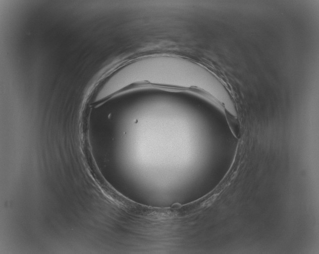 X0000082930245200702152155