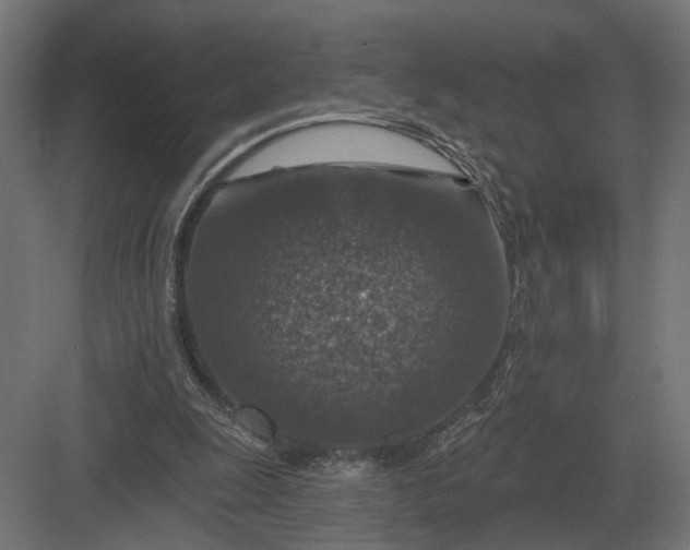 X0000082930247200702152155