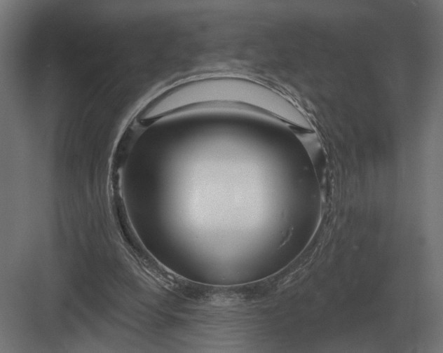 X0000082930248200702152155