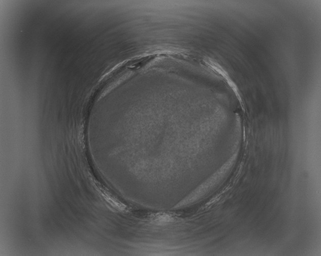 X0000082930249200702152155