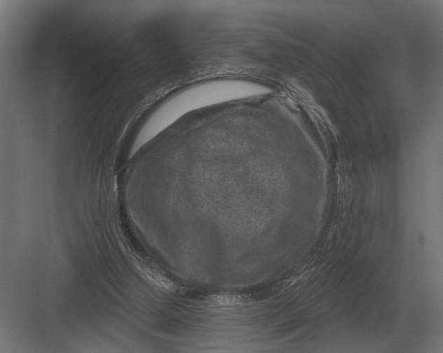 X0000082930250200702152155