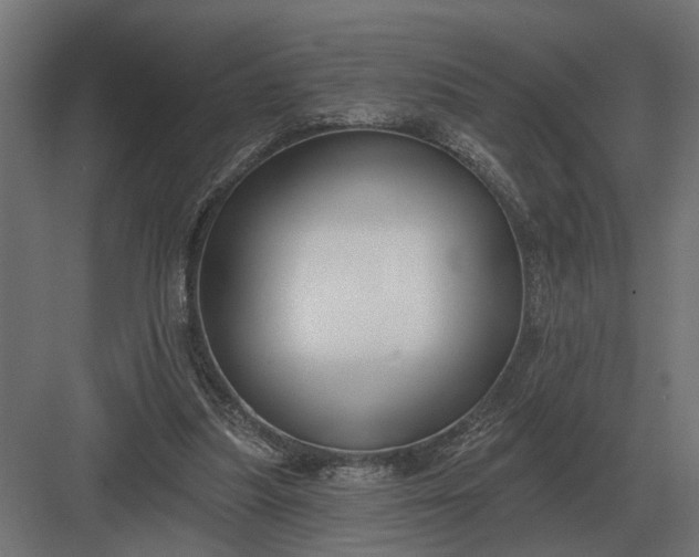 X0000082930251200702152155