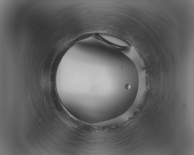 X0000082930252200702152155