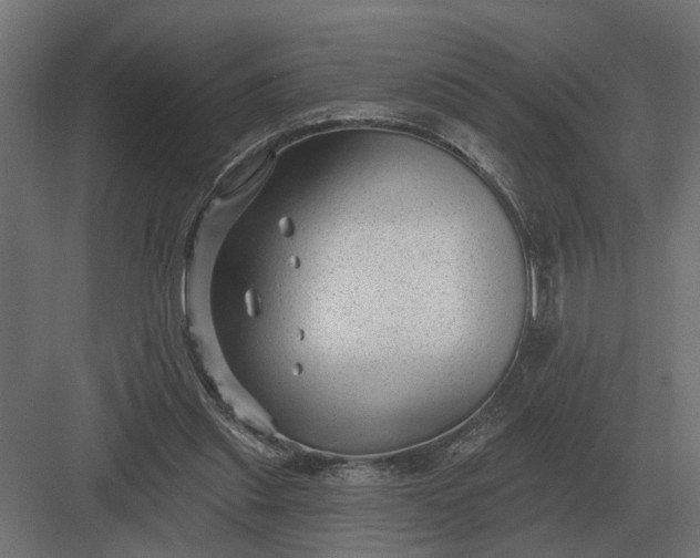 X0000082930253200702152155