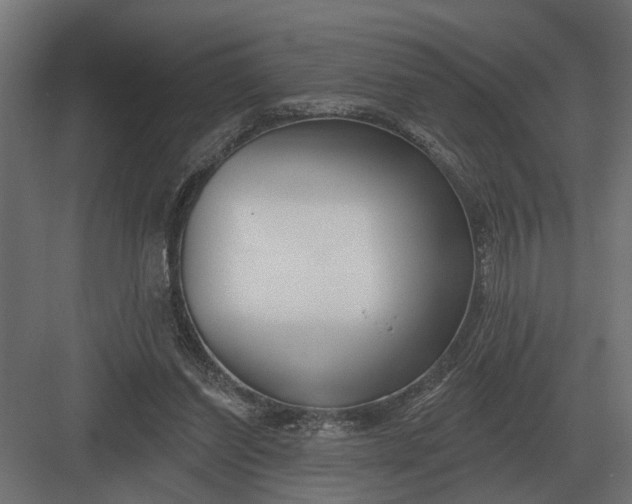 X0000082930254200702152155