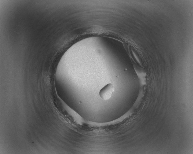 X0000082930256200702152155