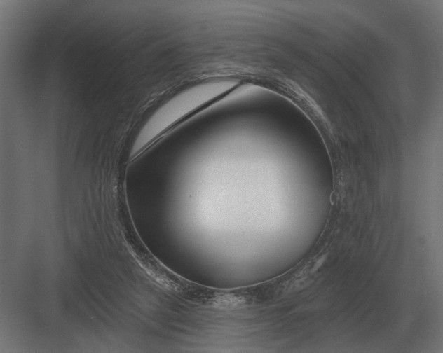 X0000082930257200702152155