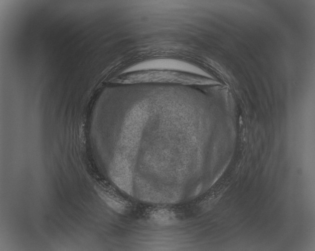 X0000082930258200702152155