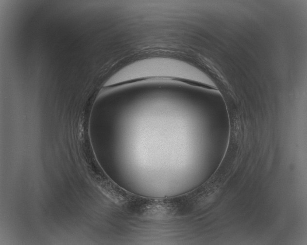 X0000082930259200702152155