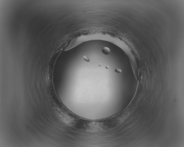 X0000082930261200702152155