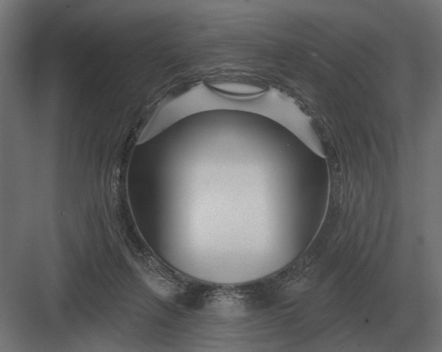 X0000082930263200702152155