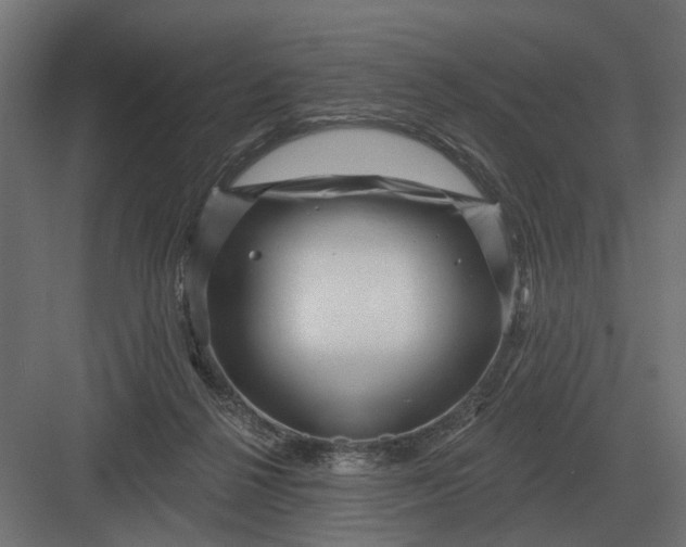 X0000082930264200702152155