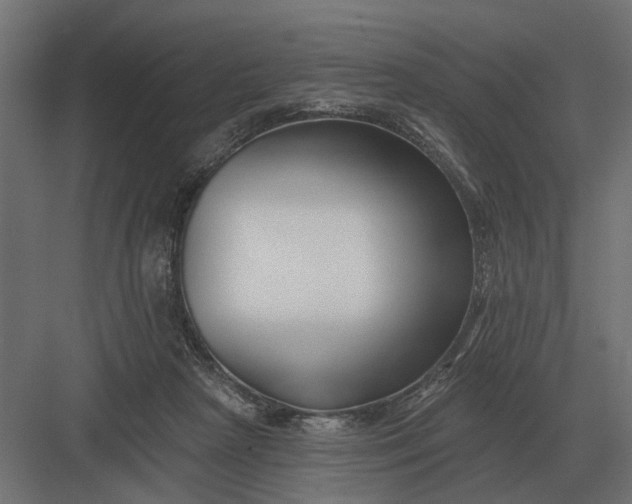 X0000082930265200702152155