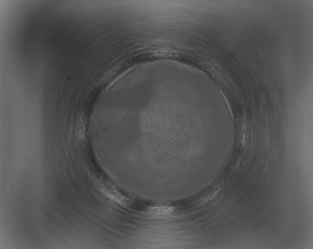 X0000082930266200702152155