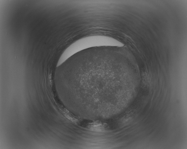 X0000082930267200702152155