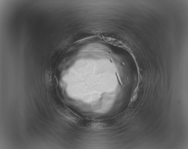 X0000082930268200702152155