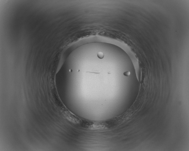 X0000082930270200702152155