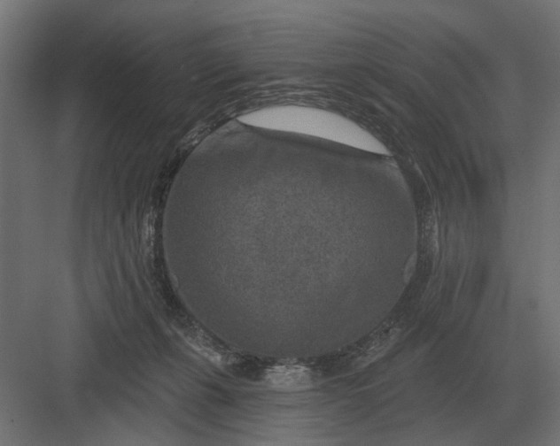 X0000082930271200702152155