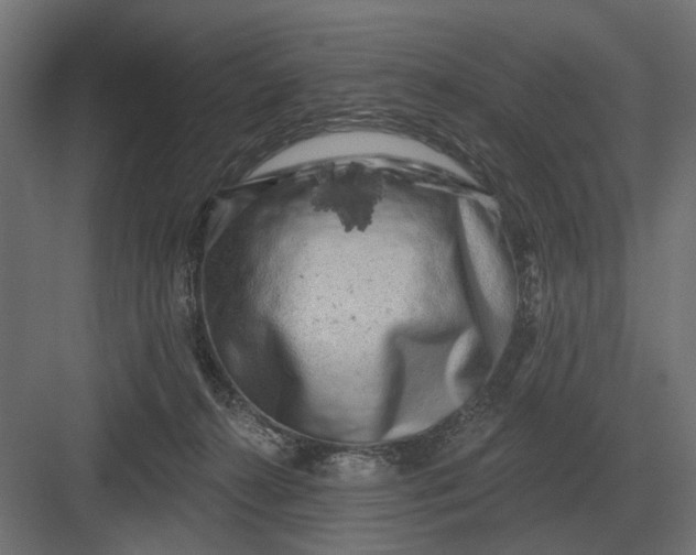 X0000082930272200702152155