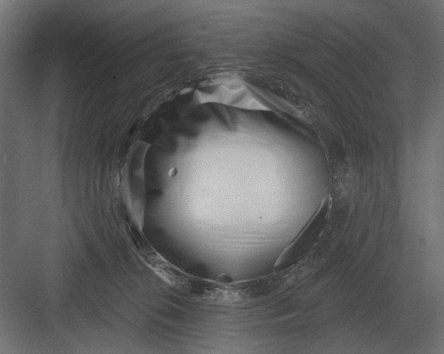 X0000082930276200702152155