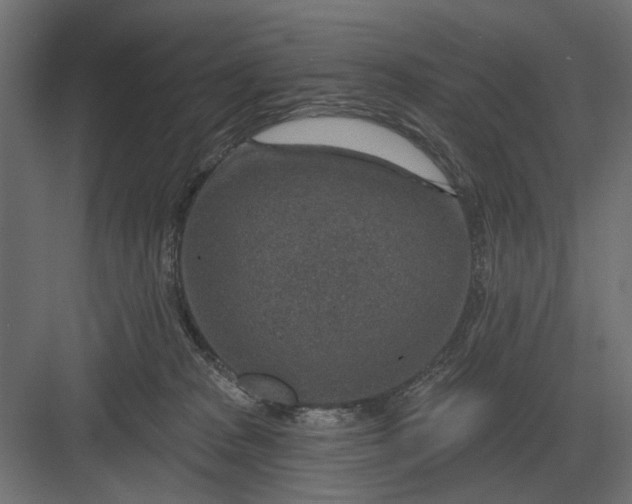 X0000082930277200702152155