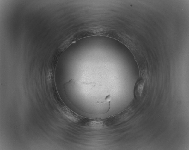 X0000082930279200702152155